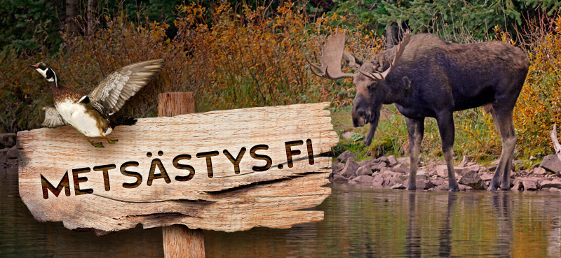 Metsästys.fi